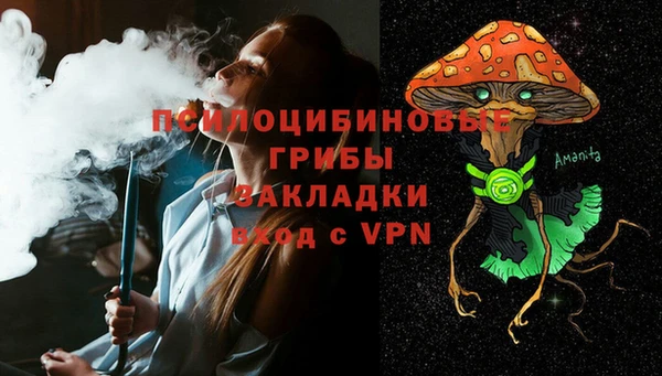 стафф Алексеевка